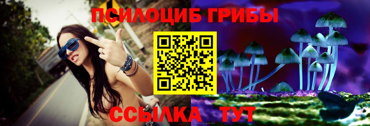 Псилоцибиновые грибы Psilocybine cubensis Зеленогорск